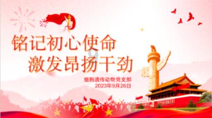 逃离残破的机舱